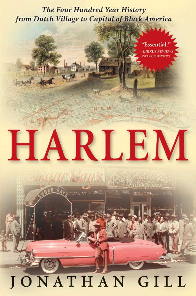 Harlem renaissance essays