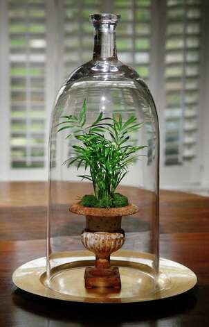 A small parlor palm is in the spotlight beneath this tall cloche. The gold charger prevents terrarium moisture from damaging the wood table. Photo: John Everett / John Everett