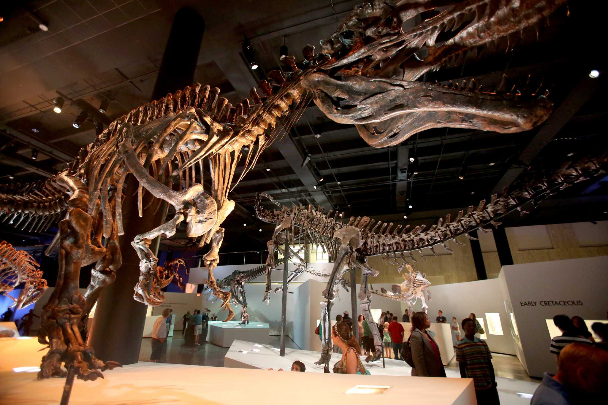 Jobs at the houston museum of natural science