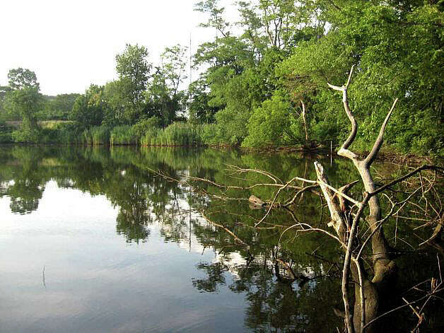 FairPLAN joins town in withdrawing action on Mill River lead cleanup (8/6/13)