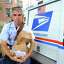 U.S. Postal carrier Mark Burek on his mail delivery route  Saturday Aug.16, 2014 in Albany, N.Y.  (Michael P. Farrell/Times Union)