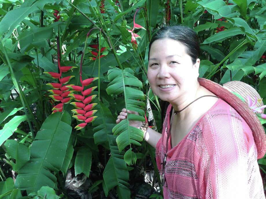 Sandy Phan-Gillis is being detained in China, accused of being a spy and stealing state secrets. Photo: Courtesy Of Jeff Gillis / Courtesy Of Jeff Gillis
