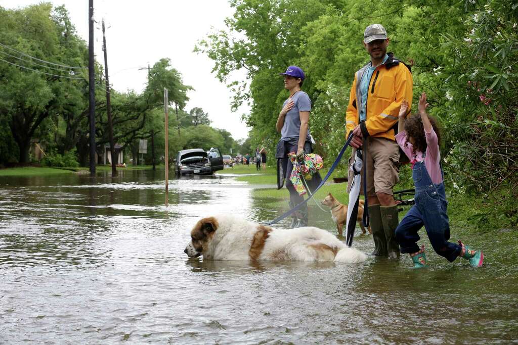 Annabella Zoller, 6, plays with her dad Jason and mother Jessica in floodwaters near Brays Bayou in the Meyerland area, Monday, April 18, 2016, in Houston. Photo: Jon Shapley, John Shapley/Houston Chronicle / © 2015  Houston Chronicle