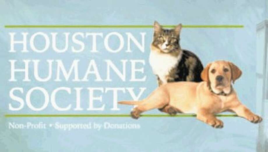 Houston Humane Society offering microchips, shots at hurricane prep