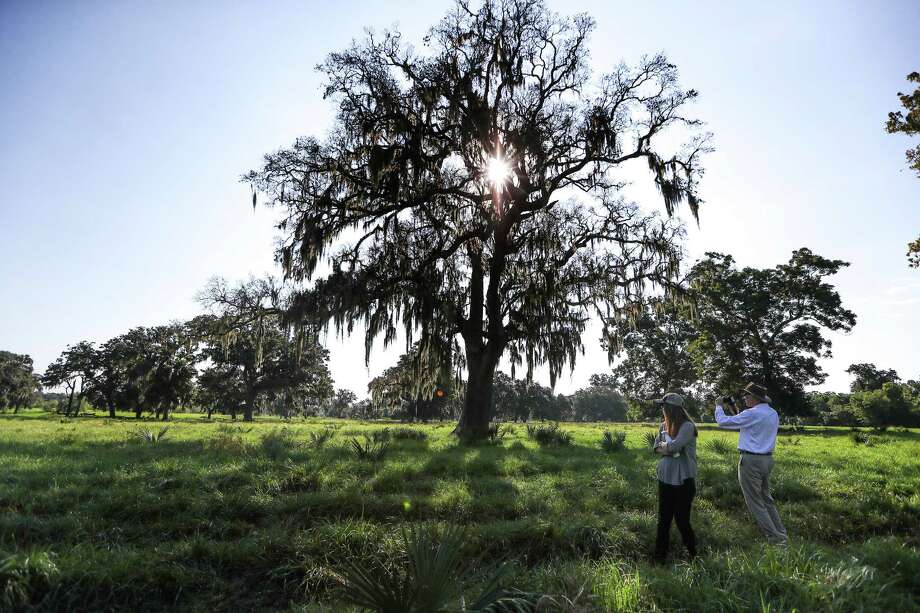 The Nature Conservancy advocates and staff walk by a large tree in a the Columbia bottomlands in Brazoria County Tuesday, Sept., 20, 2016  The Nature Conservancy has gotten a $14 million donation from an Australian company to purchase ecologically valuable land in Texas and Arkansas. Here, the money will go to preserve the Columbia bottomlands in Brazoria County which is primo bird habitat. Photo: Steve Gonzales, Houston Chronicle / © 2016 Houston Chronicle
