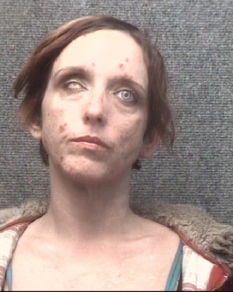 11 arrested in South Carolina prostitution bust