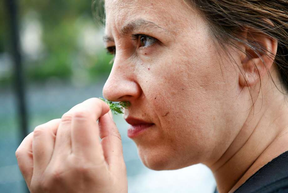 Nassim Nobari of the group Seed the Commons sniffs a piece of chamomile at the Victoria Manalo Draves Community Garden in San Francisco. Photo: Michael Short, Special To The Chronicle