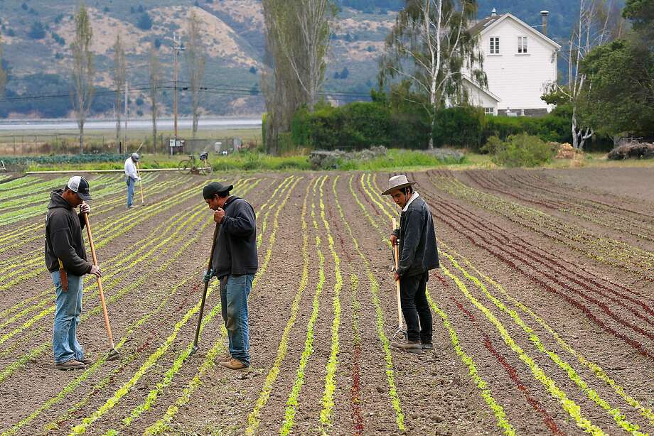 Organic farms northern california jobs