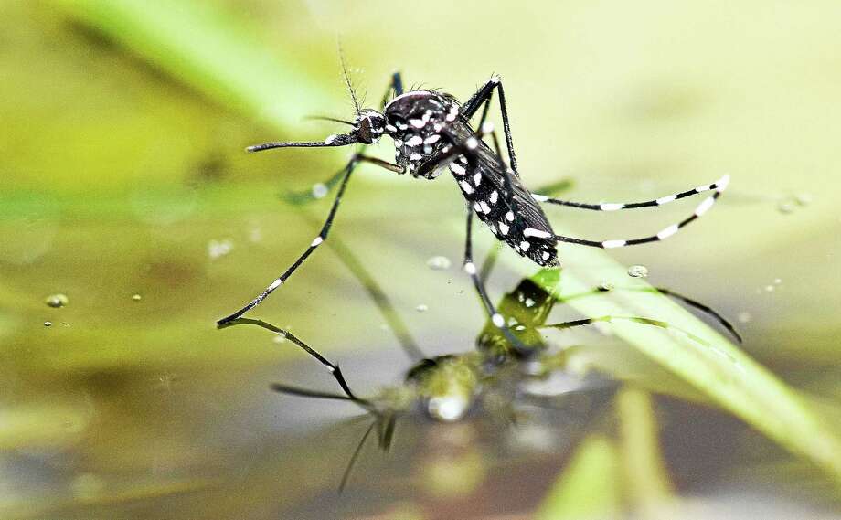 NDDOH reports first West Nile-related death of 2017