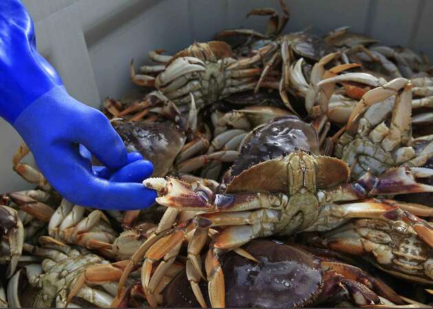 More of Northern California coast opens to commercial crab fishing