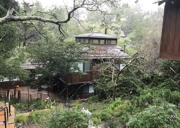 Huge pine tree crushes garage of home in Mill Valley