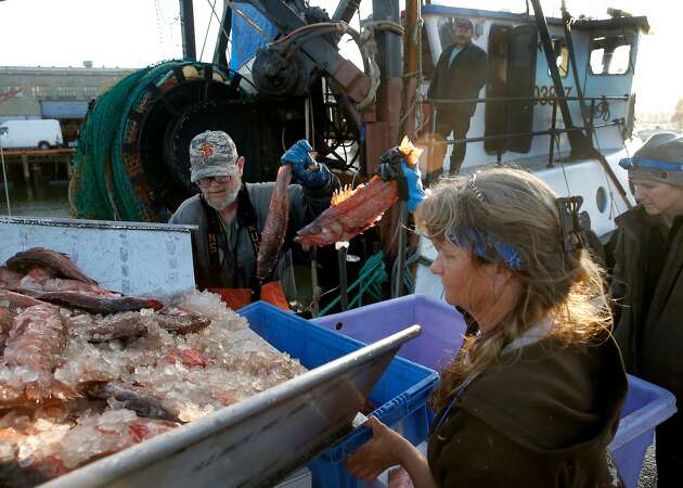 Fish sold right from the boat: The old ways resurface