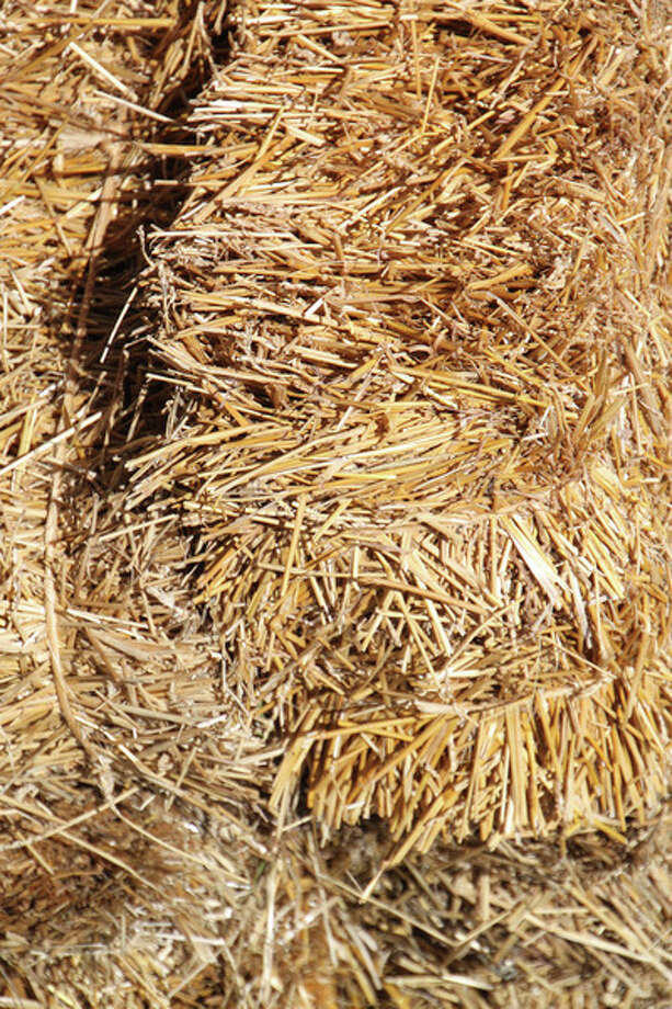 People have been using their imaginations and have started using straw bales for their vegetable garden containers.