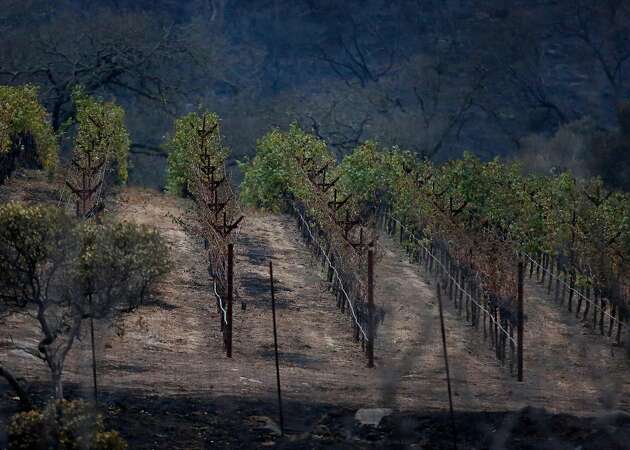 Updates: List of wineries damaged in the Wine Country fires