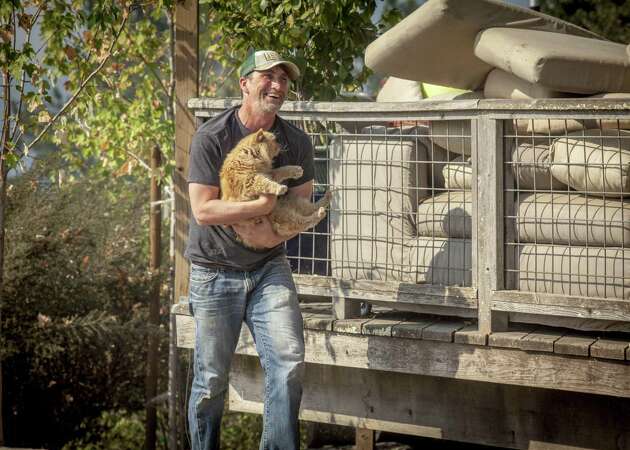 Amid smoke and ruin, a good son's quest to rescue his parents' cat